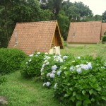 Chalés e hortensias